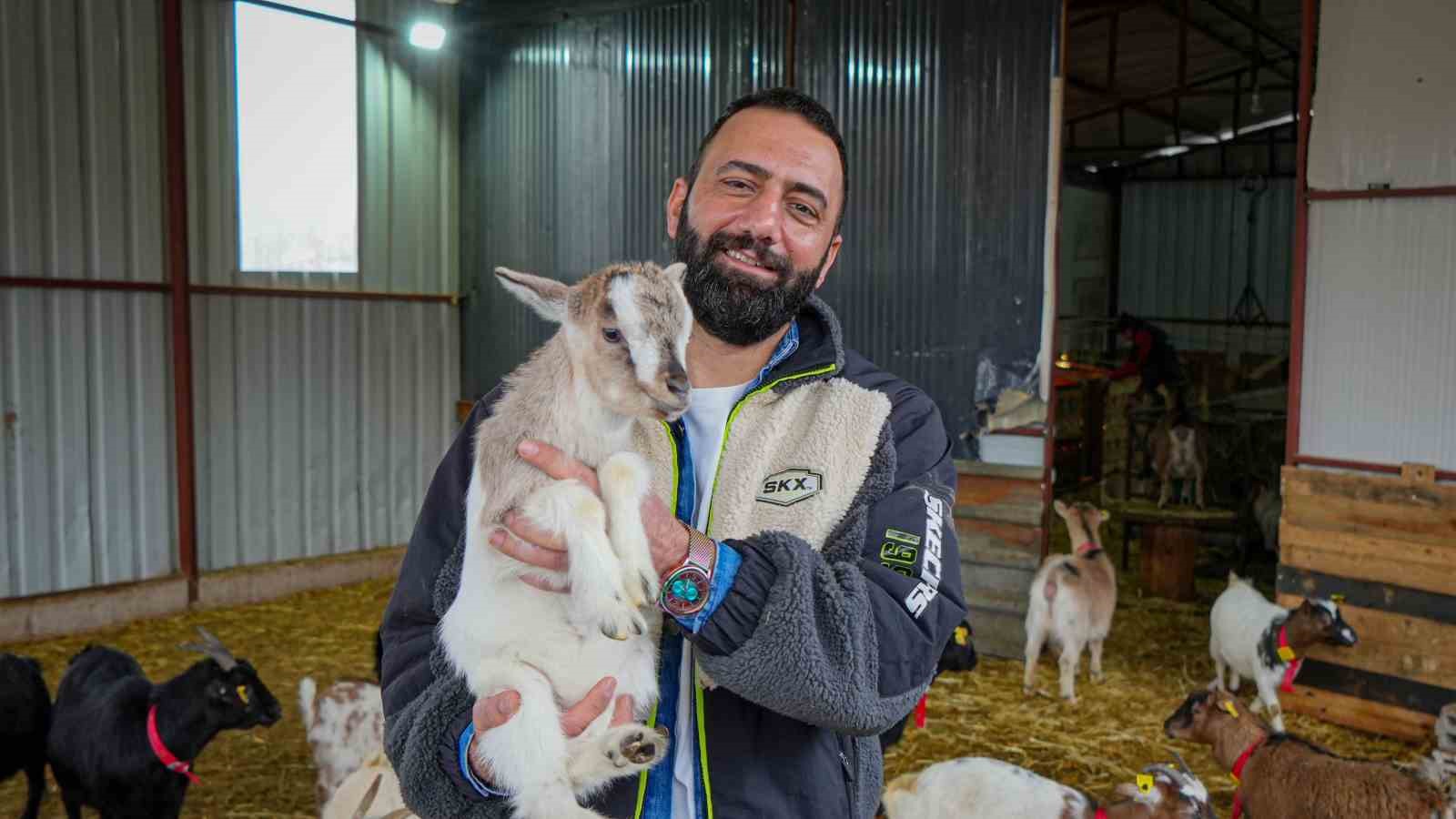 Evcil hayvanlara yeni alternatif: Kedi köpeğin yerini ‘cüce keçi’ alabilir
