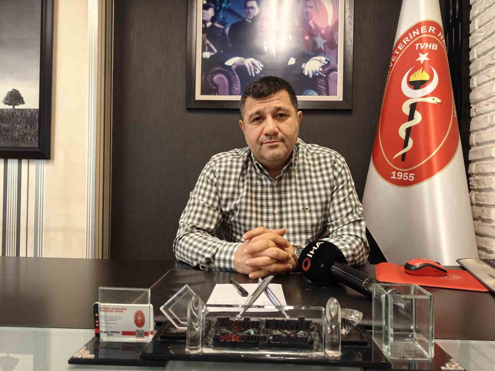 Evcil hayvanlarda kışın tüy dökme hastalık değil
