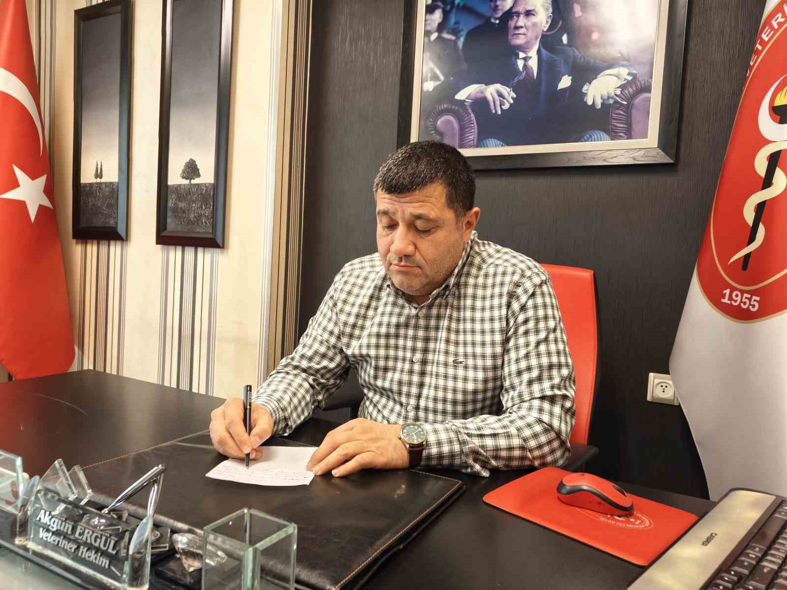 Evcil hayvanlarda kışın tüy dökme hastalık değil
