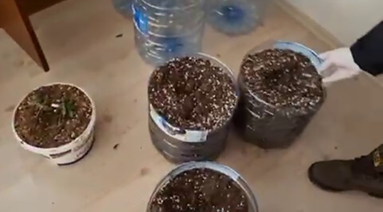 Evin bir odasını uyuşturucu serasına çeviren şüphelileri polis yakaladı
