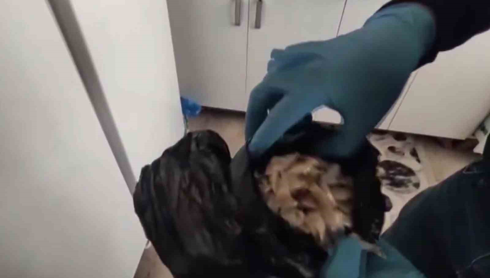 Evinde kilolarca bonzai yapacak hammadde ele geçirildi: "Uygun bulunca toplu alıyorum, içiciyim" dedi
