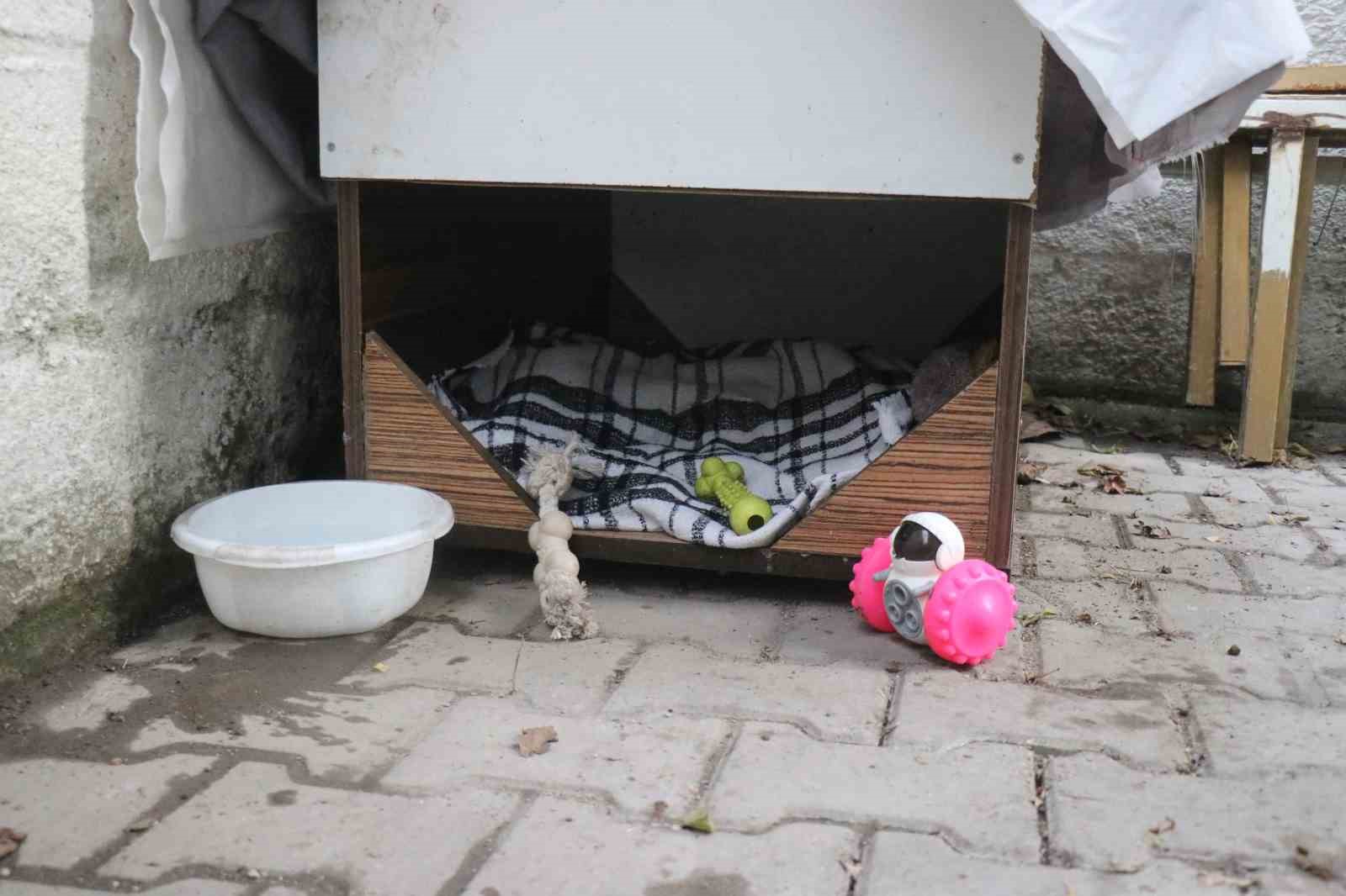 Evladı gibi gördüğü köpeği çalındı, saatler sonra polis ekiplerince bulundu
