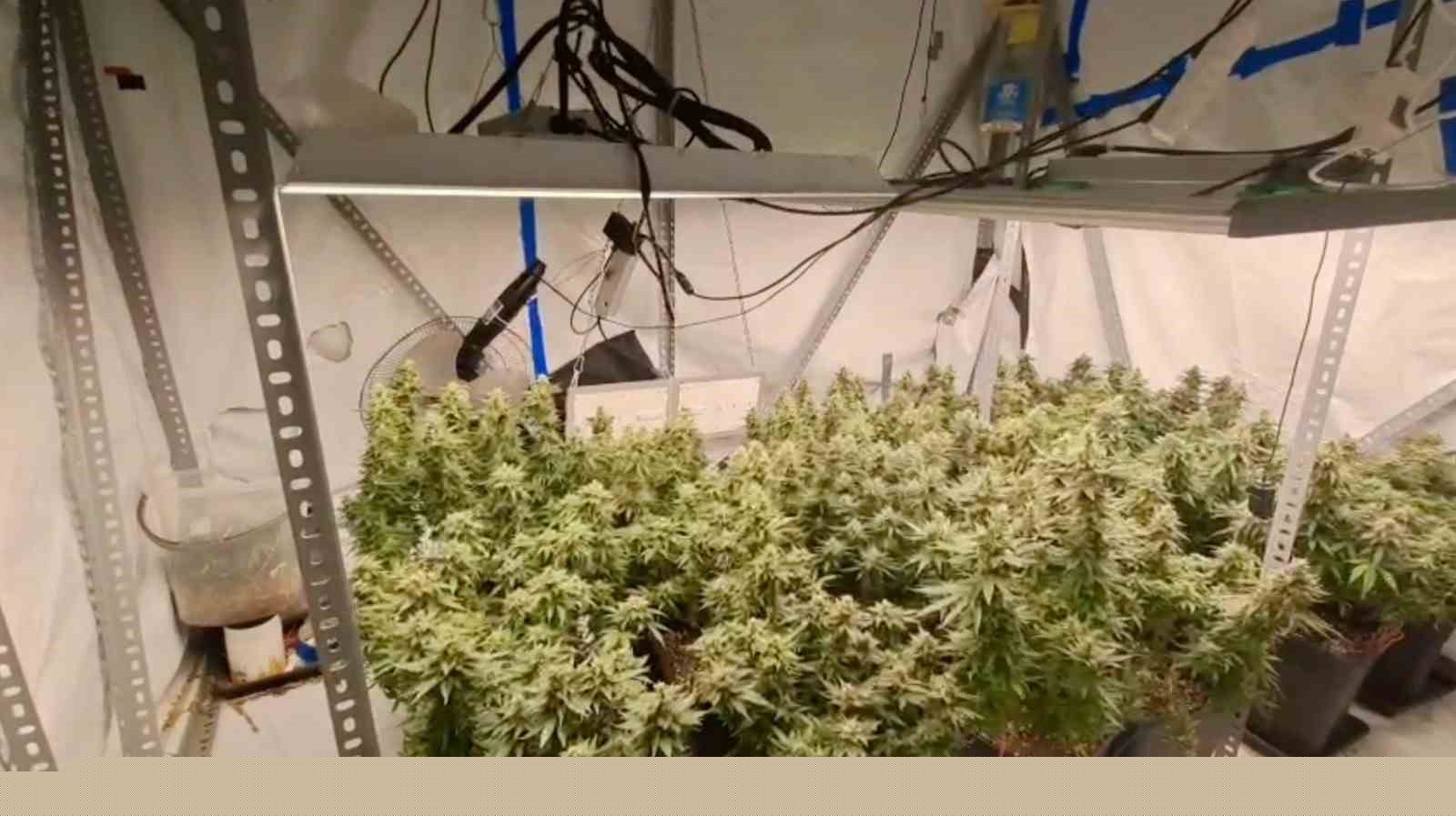 Evleri uyuşturucu serasına, tuvaletleri laboratuvara çevirmişler: 36 gözaltı
