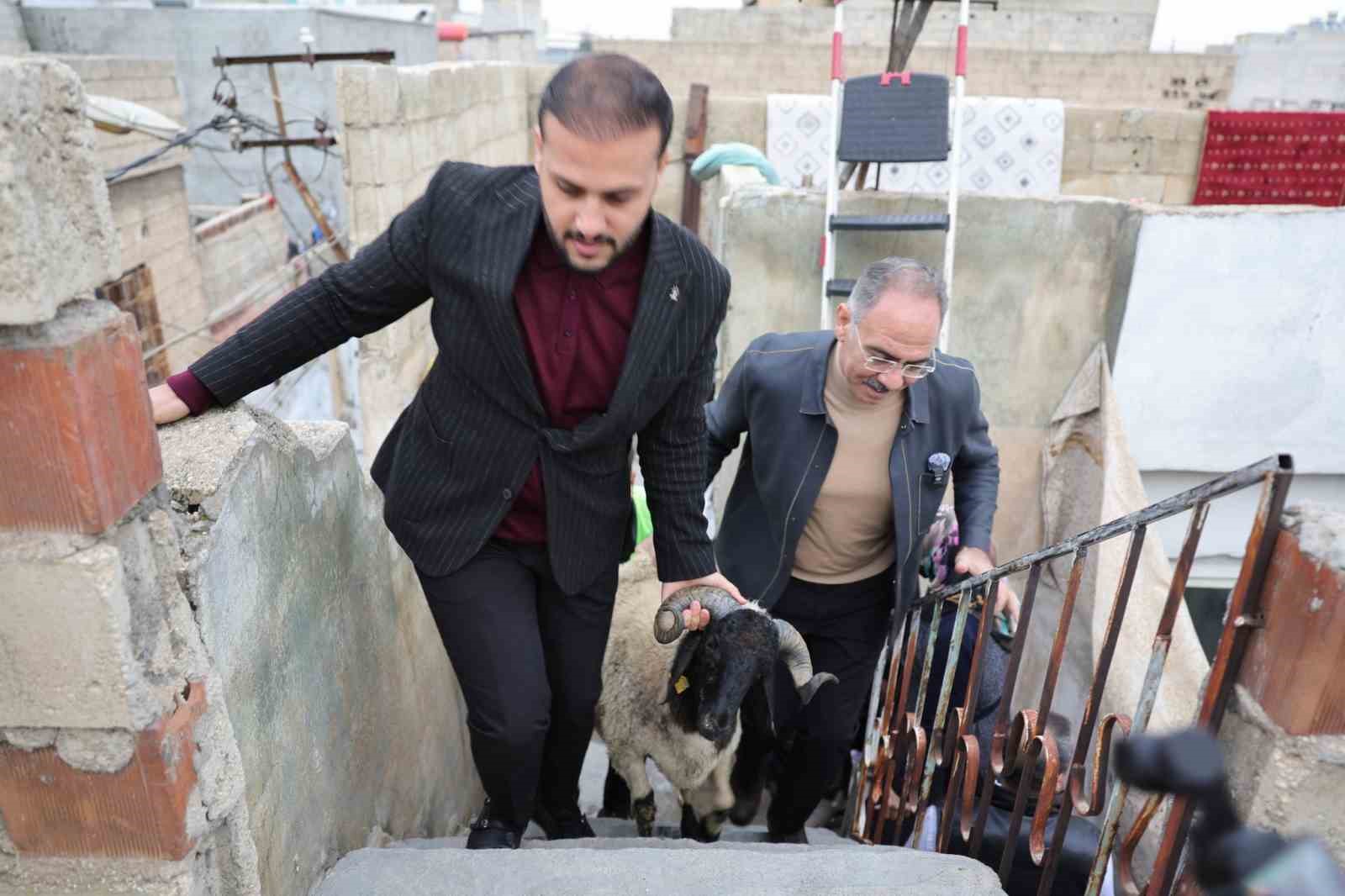 Eyyübiye’de 400 aileye ‘koç’ sürprizi
Eyyübiye’de 400 aileye ‘koç’ sürprizi