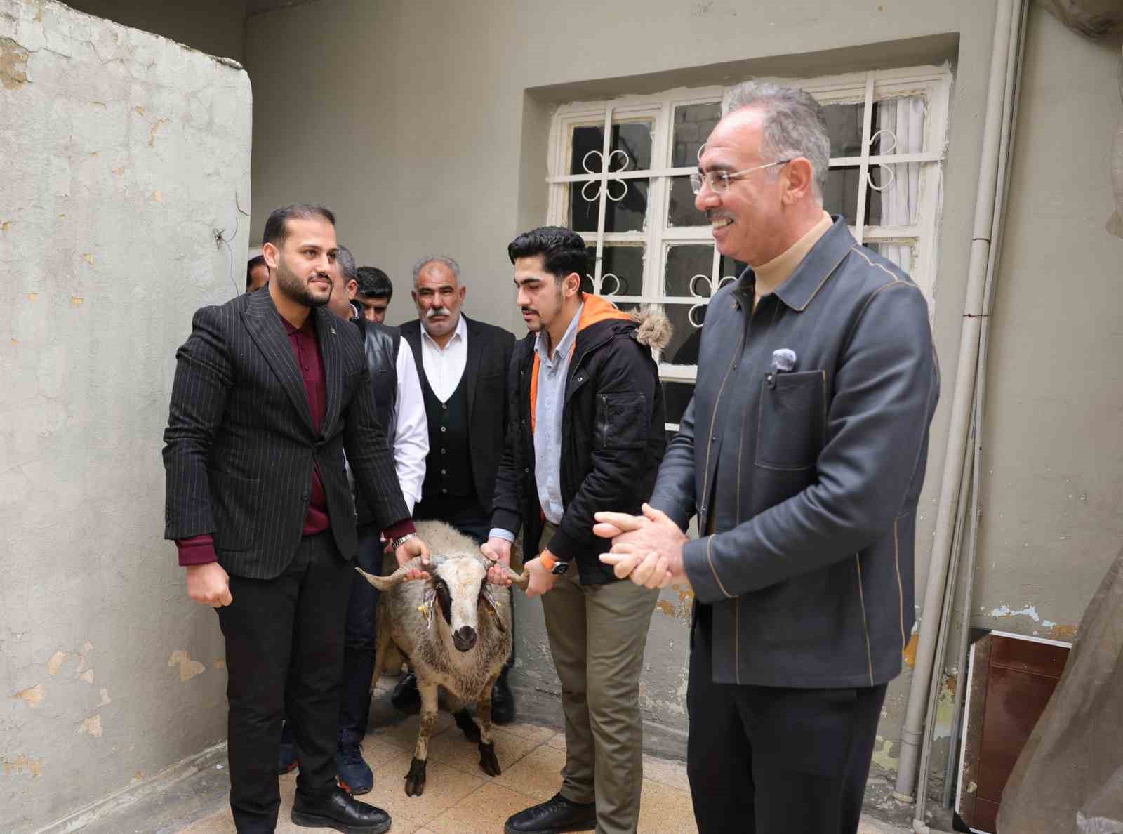 Eyyübiye’de 400 aileye ‘koç’ sürprizi
Eyyübiye’de 400 aileye ‘koç’ sürprizi