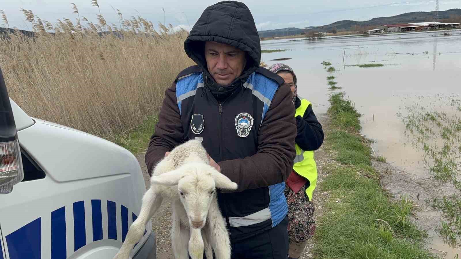 Ezine’de Menderes Çayı taştı, kışlada hayvanlarıyla mahsur kalan adam kurtarıldı
