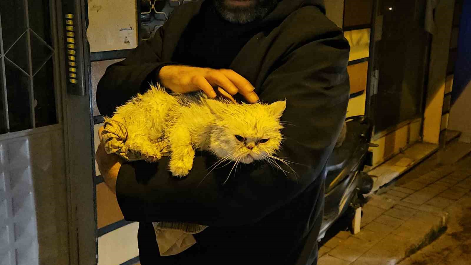 Fatih’te metruk binada çıkan yangın yanındaki ahşap binaya sıçradı: Bir kedi kurtarıldı
