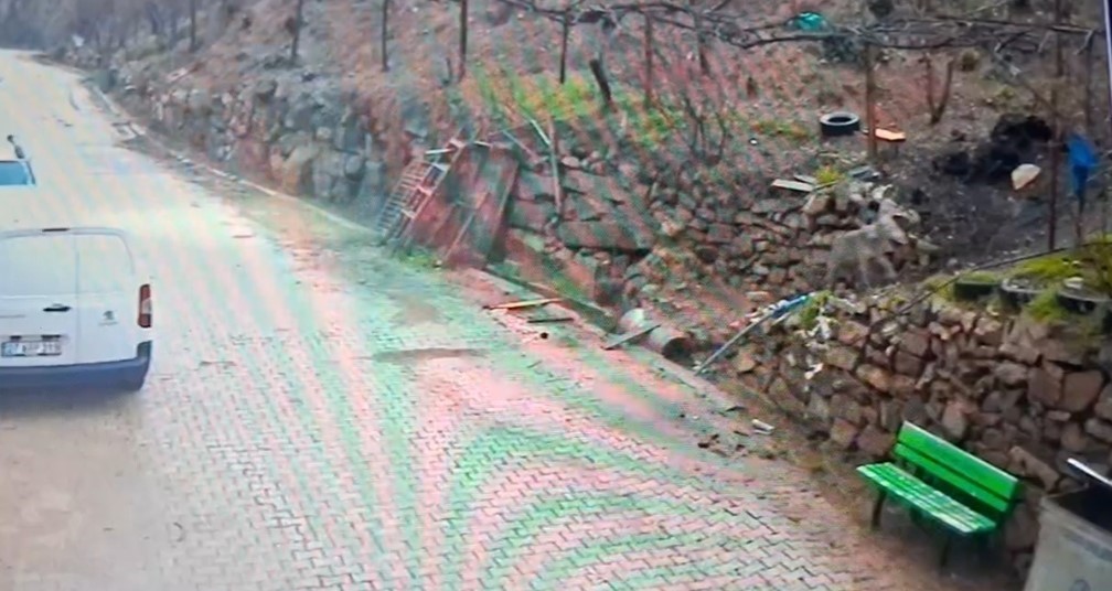 Feke’de yerleşim alanına inen kurt görüntülendi
