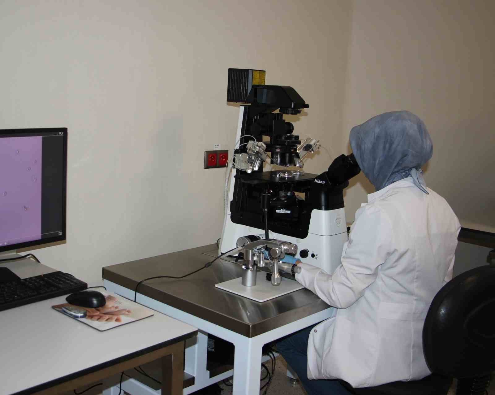 Fethi Sekin Şehir Hastanesi, tüp bebek merkezi bölgeye umut oluyor
