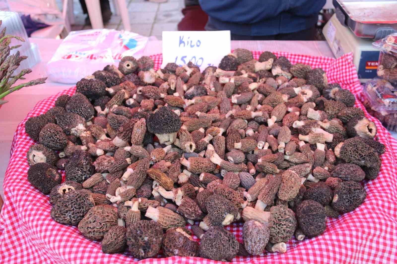 Fethiye’de 15. Dastar Ve Kuzugöbeği Festivali coşkusu başladı
Fethiye’de 15. Dastar Ve Kuzugöbeği Festivali coşkusu başladı