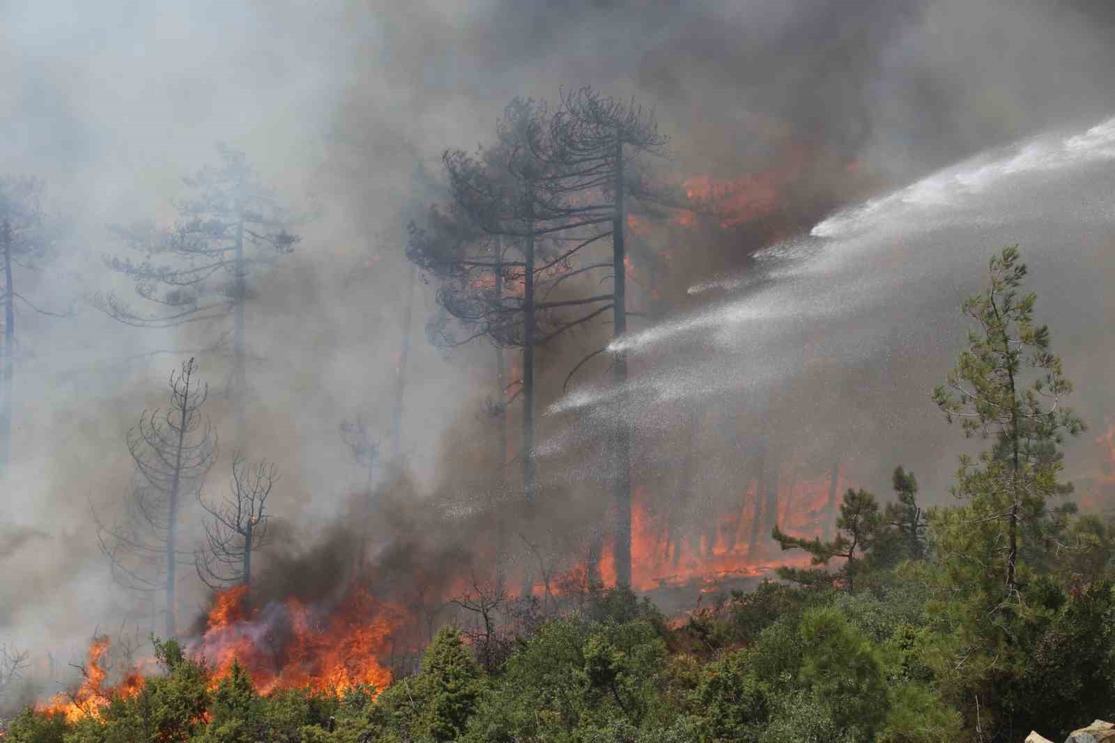 FETÖ’cü kundakçı hakkında savcılık 15 yıl hapis cezası istedi
FETÖ’cü kundakçı hakkında savcılık 15 yıl hapis cezası istedi