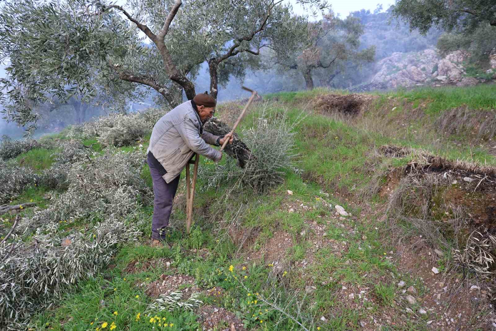 Film sahnesi değil gerçek hayat
