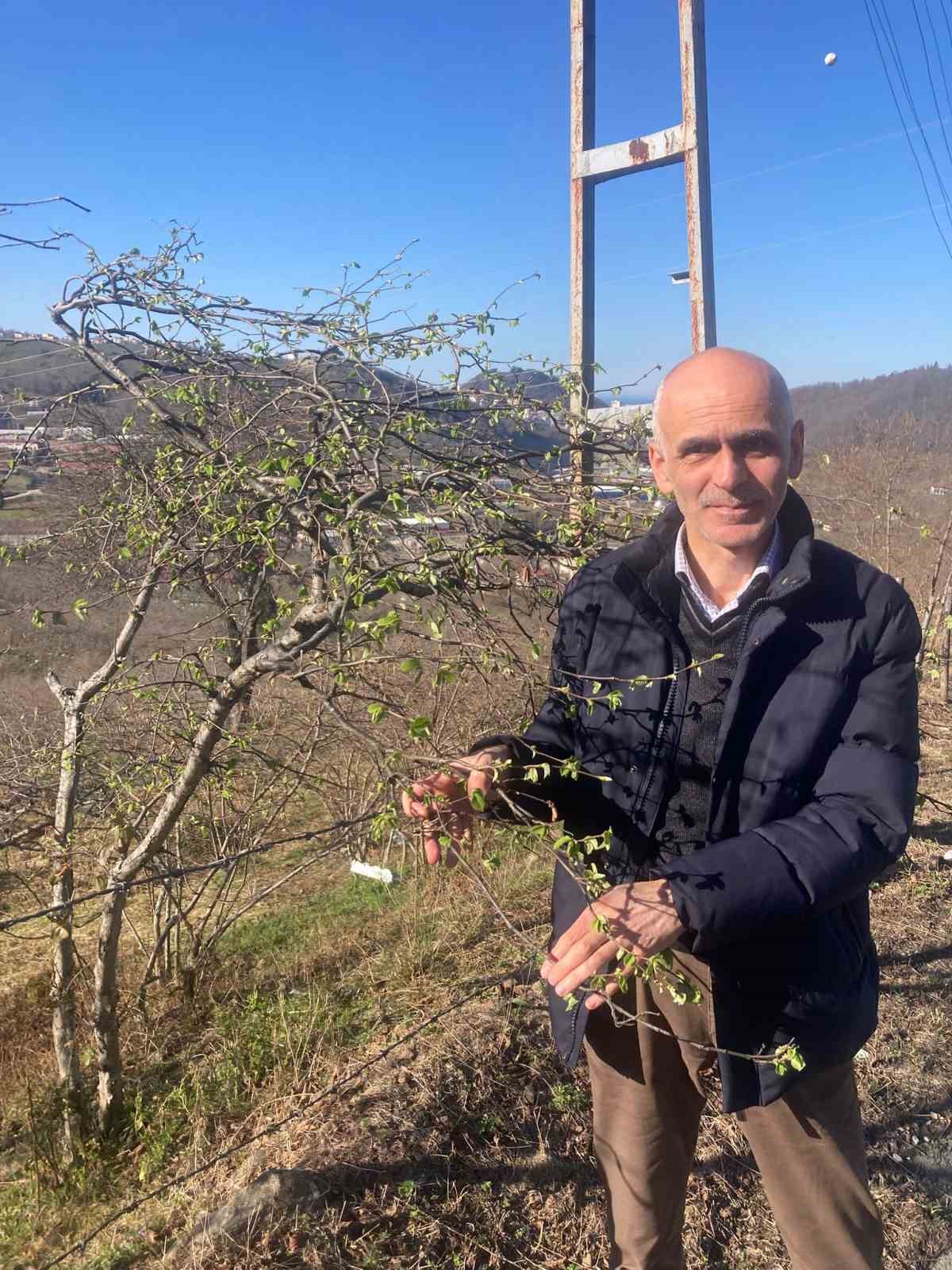 Fındık üreticilerine sigorta uyarısı
Fındık üreticilerine sigorta uyarısı