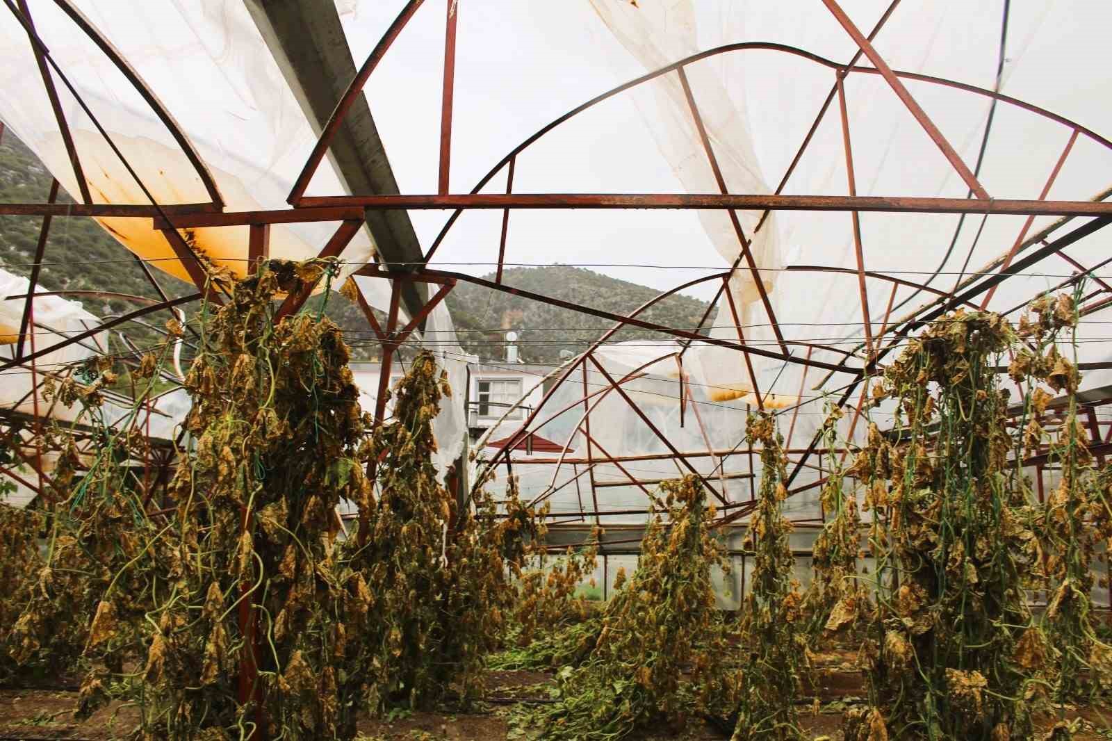 Finike’de hortumdan zarar gören seralarda hasar tespiti başladı
