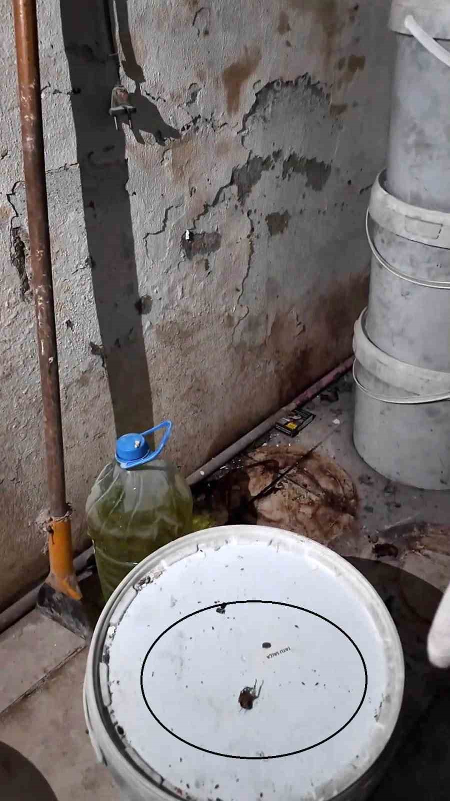 Fırında ortaya çıkan görüntülere tepki gösteren zabıta müdürü: "Fareyi geçtim, yılan çıkacak diye korkuyorum"
Fırında ortaya çıkan görüntülere tepki gösteren zabıta müdürü: "Fareyi geçtim, yılan çıkacak diye korkuyorum"