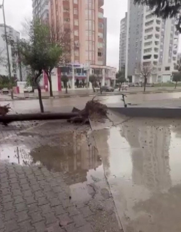 Fırtına dev ağaçları kökünden söktü, o anlar kameraya yansıdı
