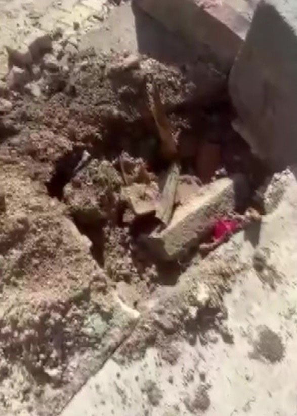 Fırtına dev ağaçları kökünden söktü, o anlar kameraya yansıdı
