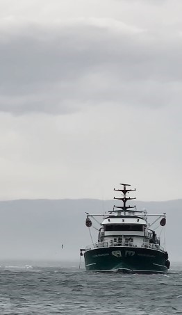 Fırtına sebebiyle kara ile deniz birleşti, tekneler battı
