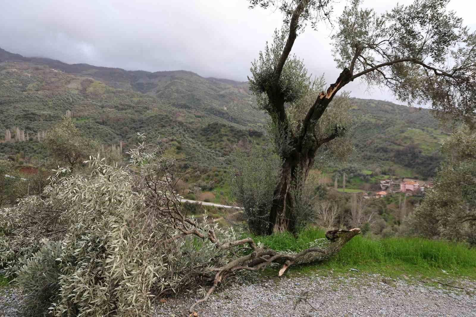 Fırtına yıktı geçti
