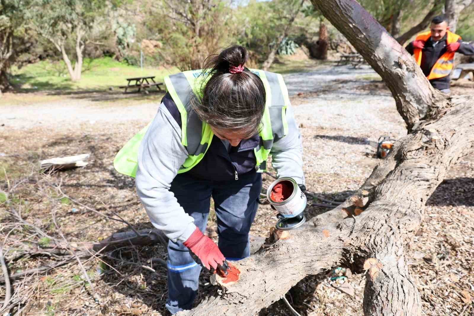 Fırtınada devrilen Ilgın ağaçları yeniden toprakla buluşuyor
Fırtınada devrilen Ilgın ağaçları yeniden toprakla buluşuyor