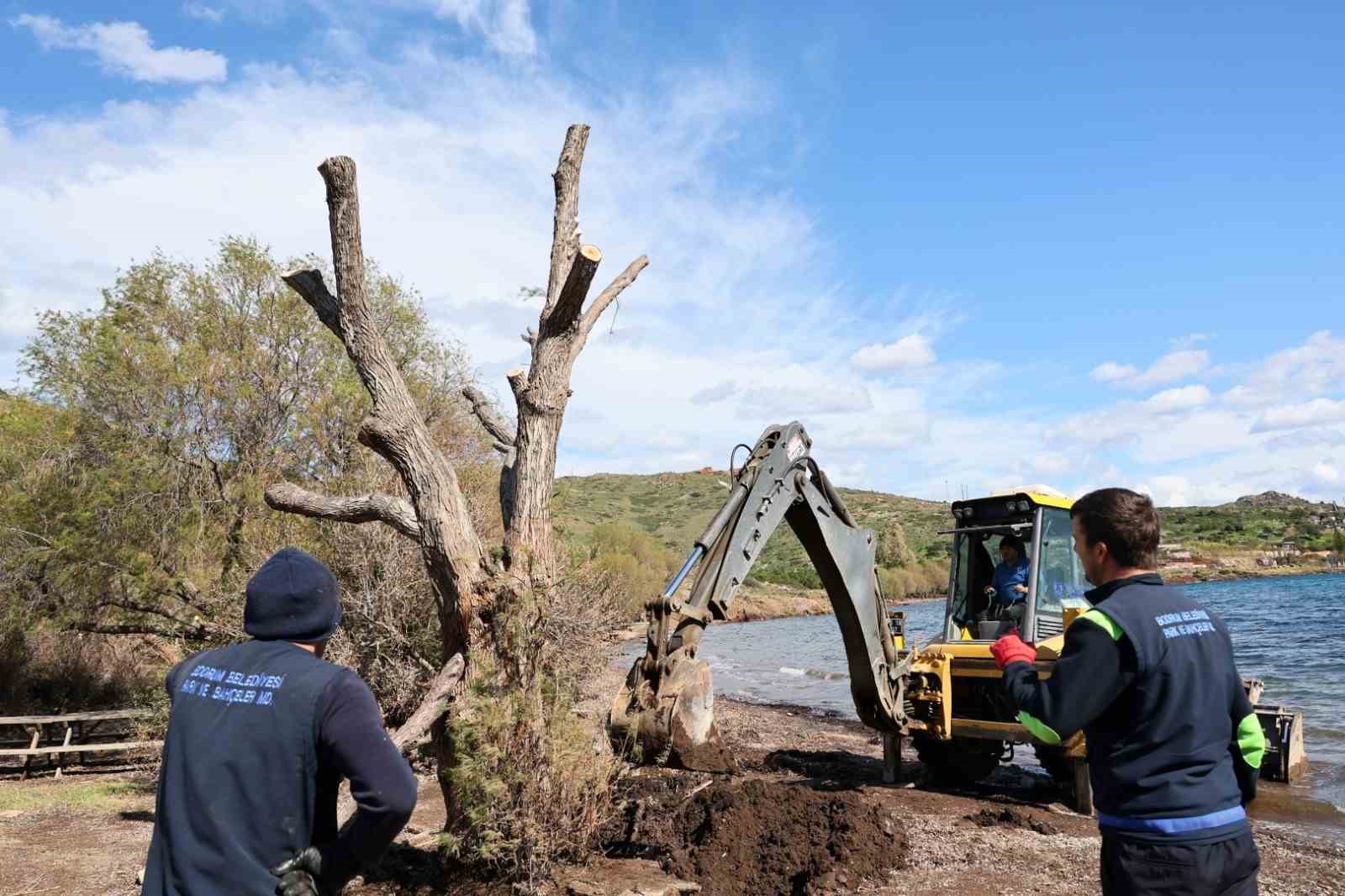 Fırtınada devrilen Ilgın ağaçları yeniden toprakla buluşuyor
Fırtınada devrilen Ilgın ağaçları yeniden toprakla buluşuyor