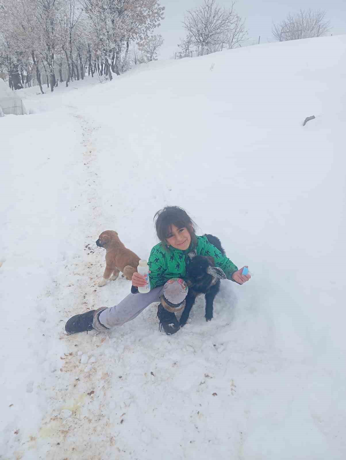 Fırtınada kaybolan kuzu 3 gün sonra sağ bulundu
