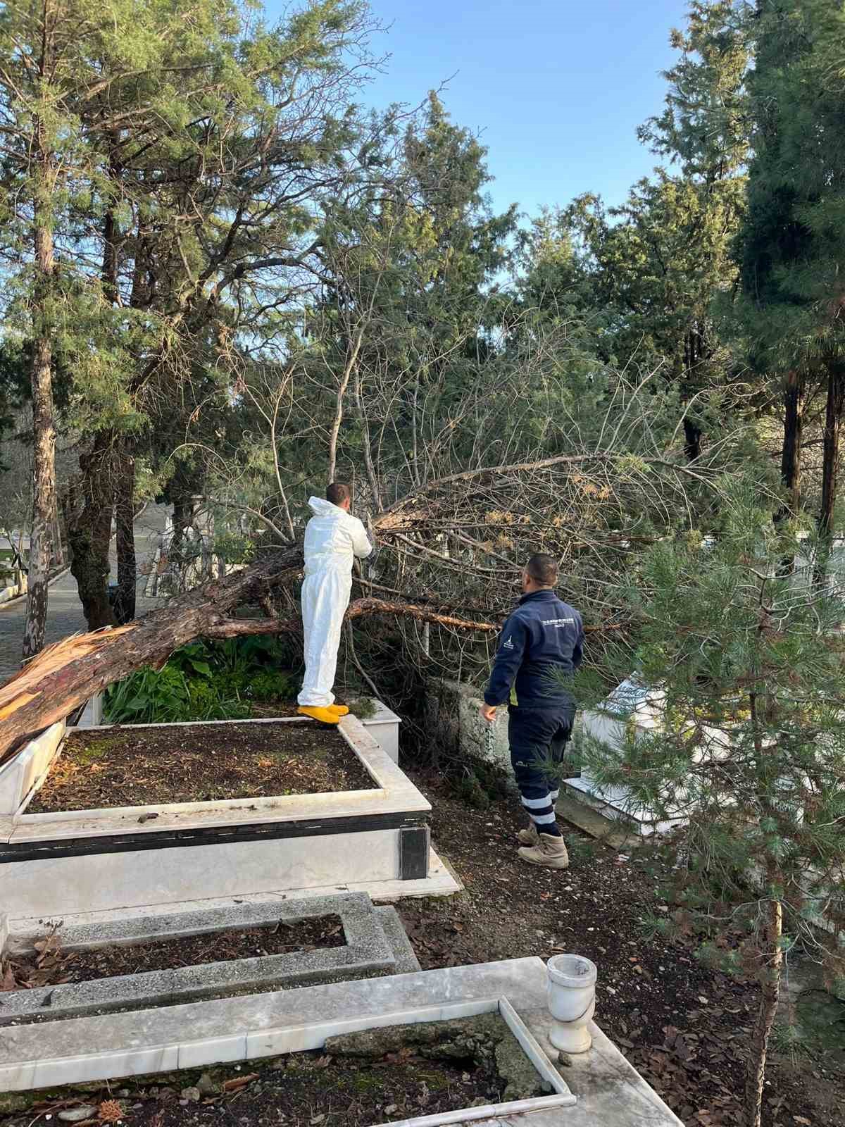 Fırtınadan zarar gören mezarlıklar onarılıyor
Fırtınadan zarar gören mezarlıklar onarılıyor