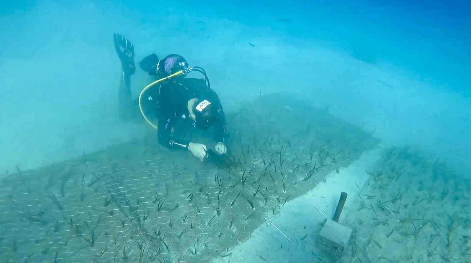 Garanti BBVA ve TURMEPA’dan 2025’te denizlerde dönüştürücü etki
