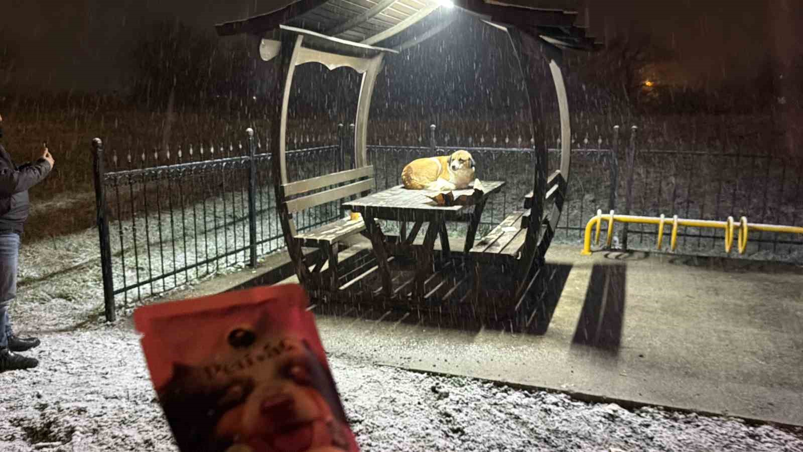 Gazetecilerden duyarlı davranış
