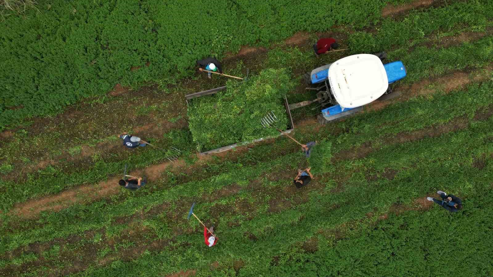 Gaziantep Büyükşehir’den Nizip’e örnek tarımsal destekler
