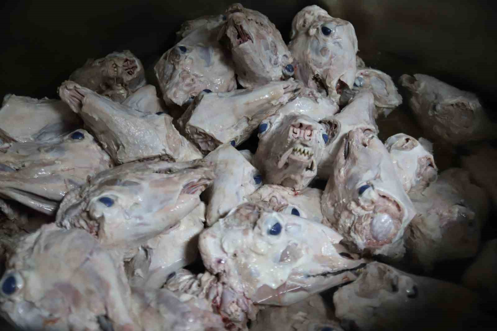 Gazianteplileri vazgeçilmez yemeği: Kelle paça
