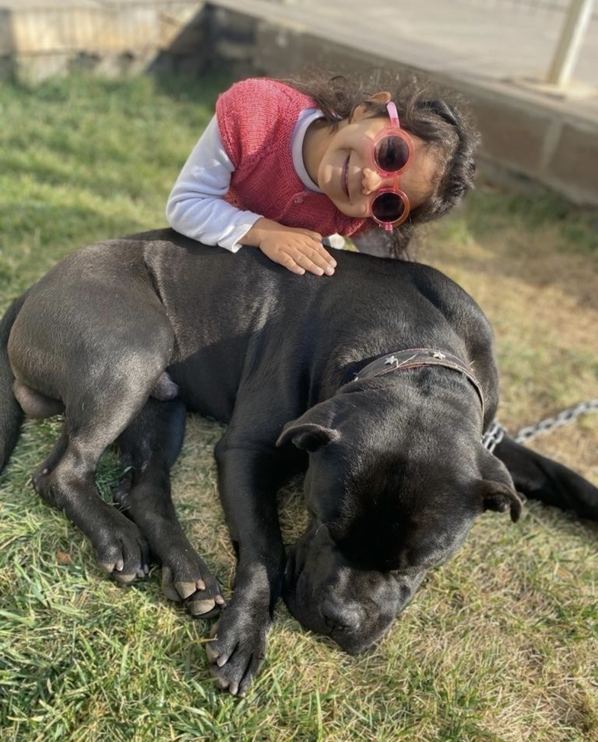 Gaziantep’te 4 yaşındaki Asiye Ateş’e pitbull saldırısı davasında karar
