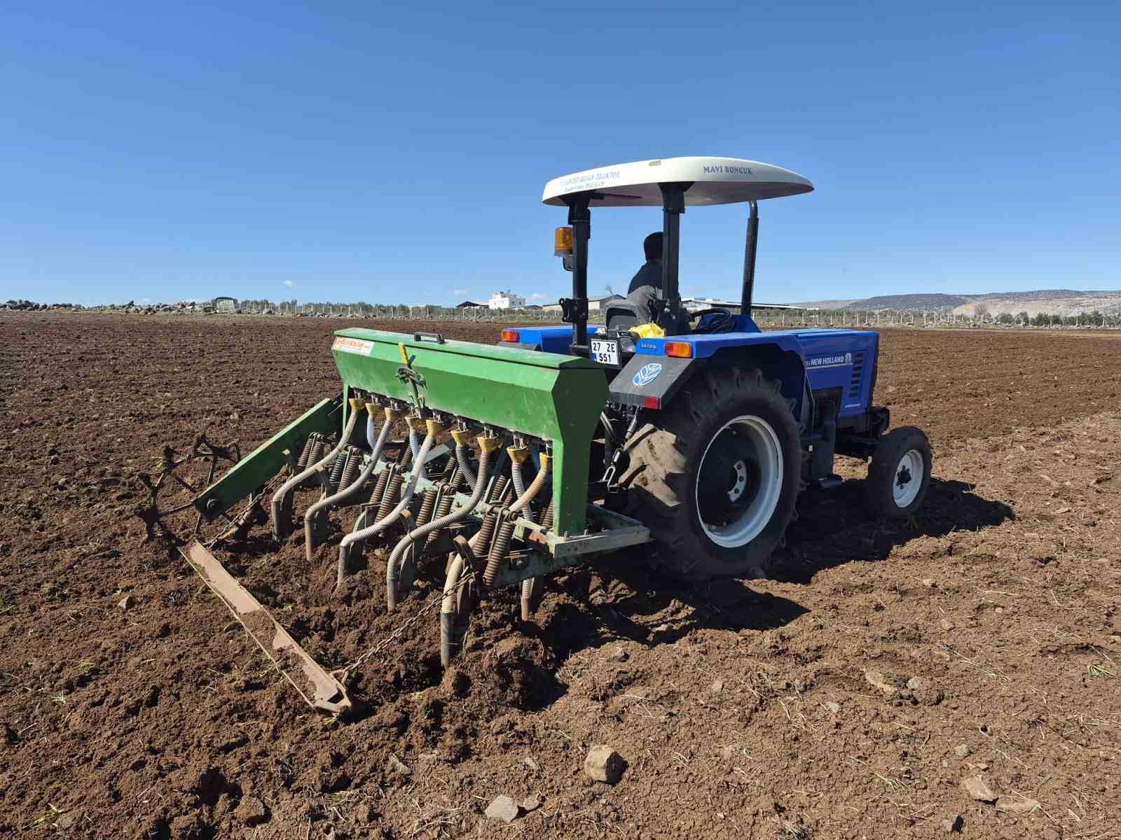 Gaziantep’te nohut ekimi başladı
