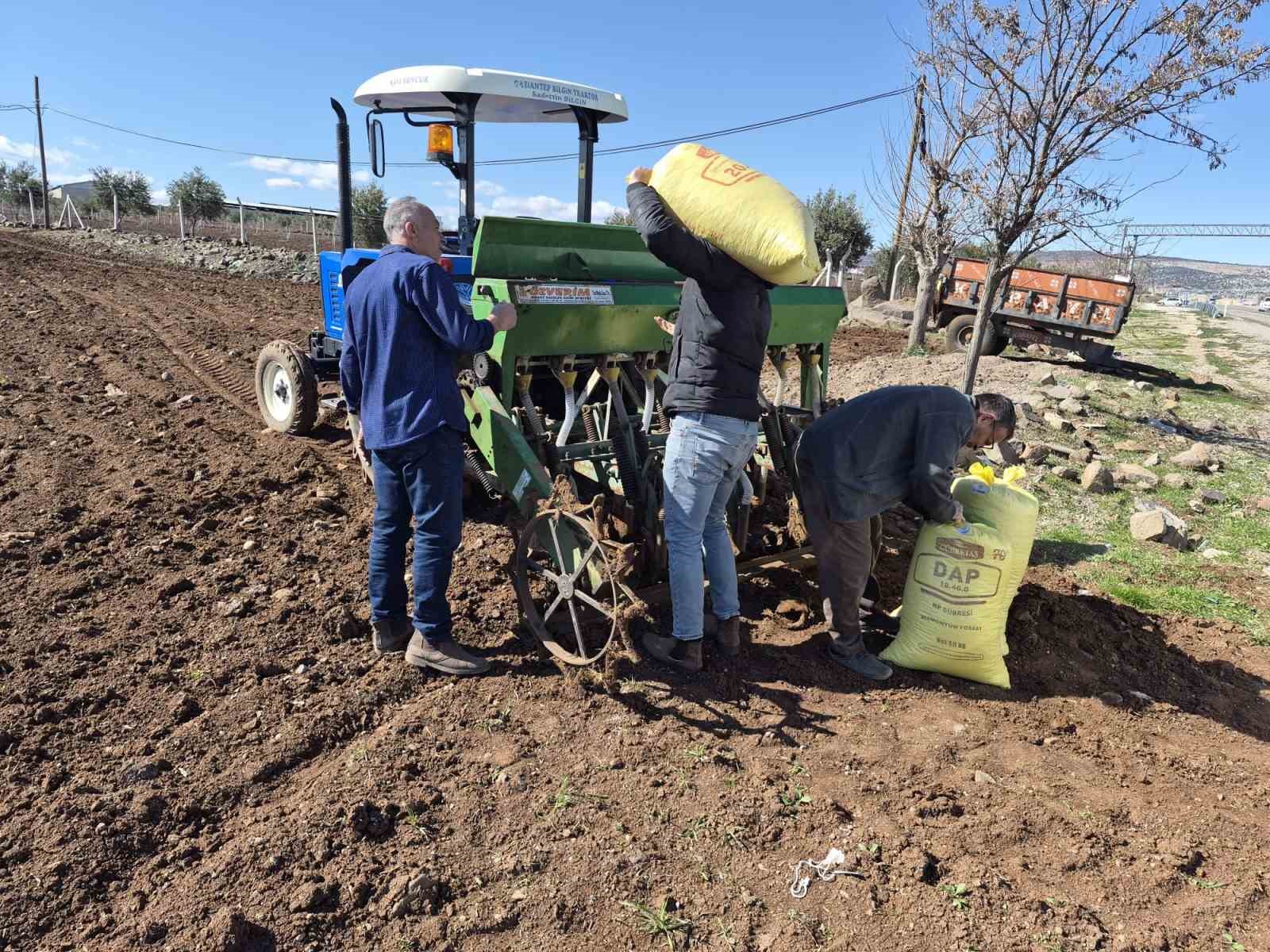 Gaziantep’te nohut ekimi başladı
