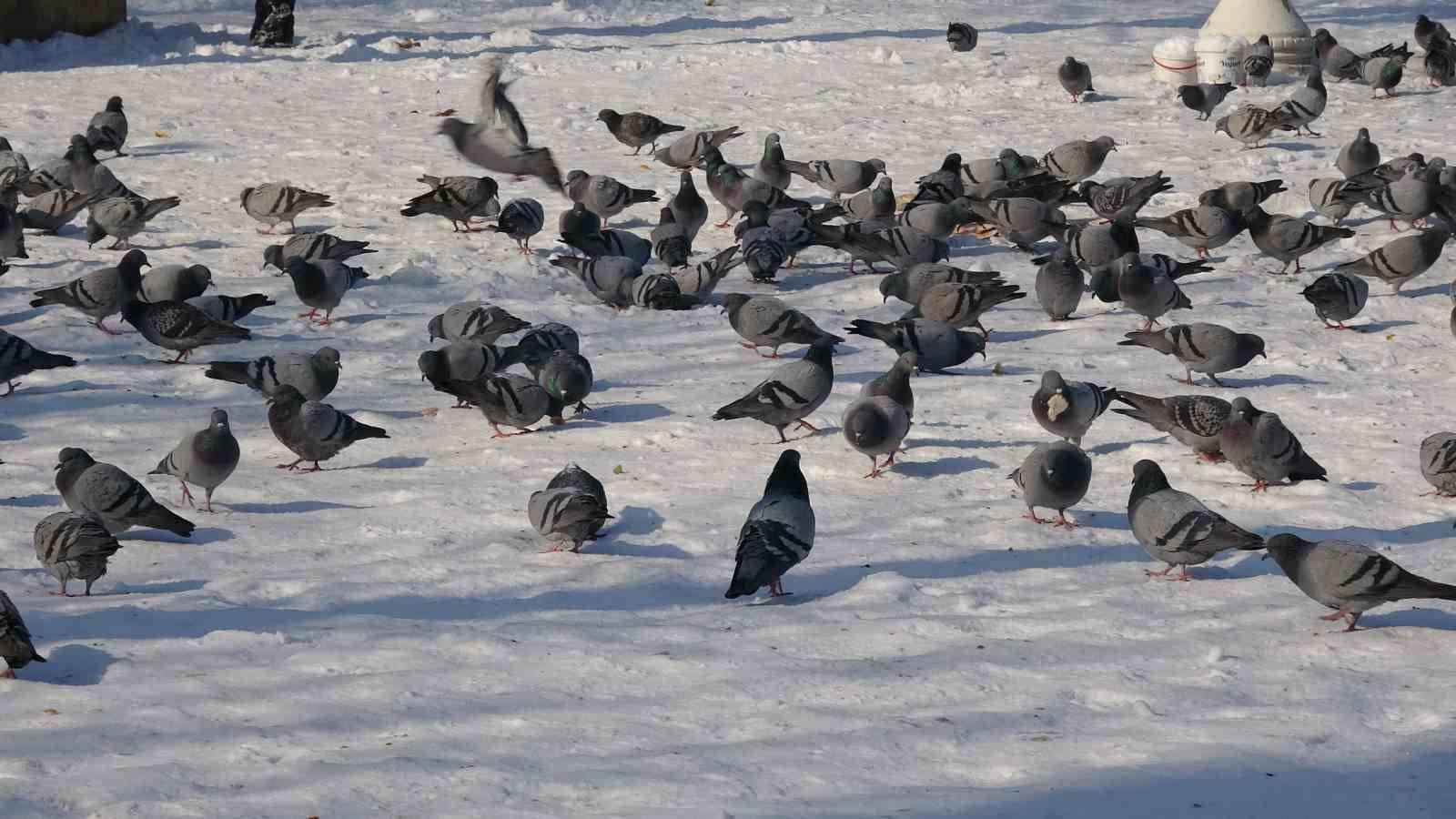 Gaziantep’te vatandaşlar kar ve güneşin tadını çıkardı
