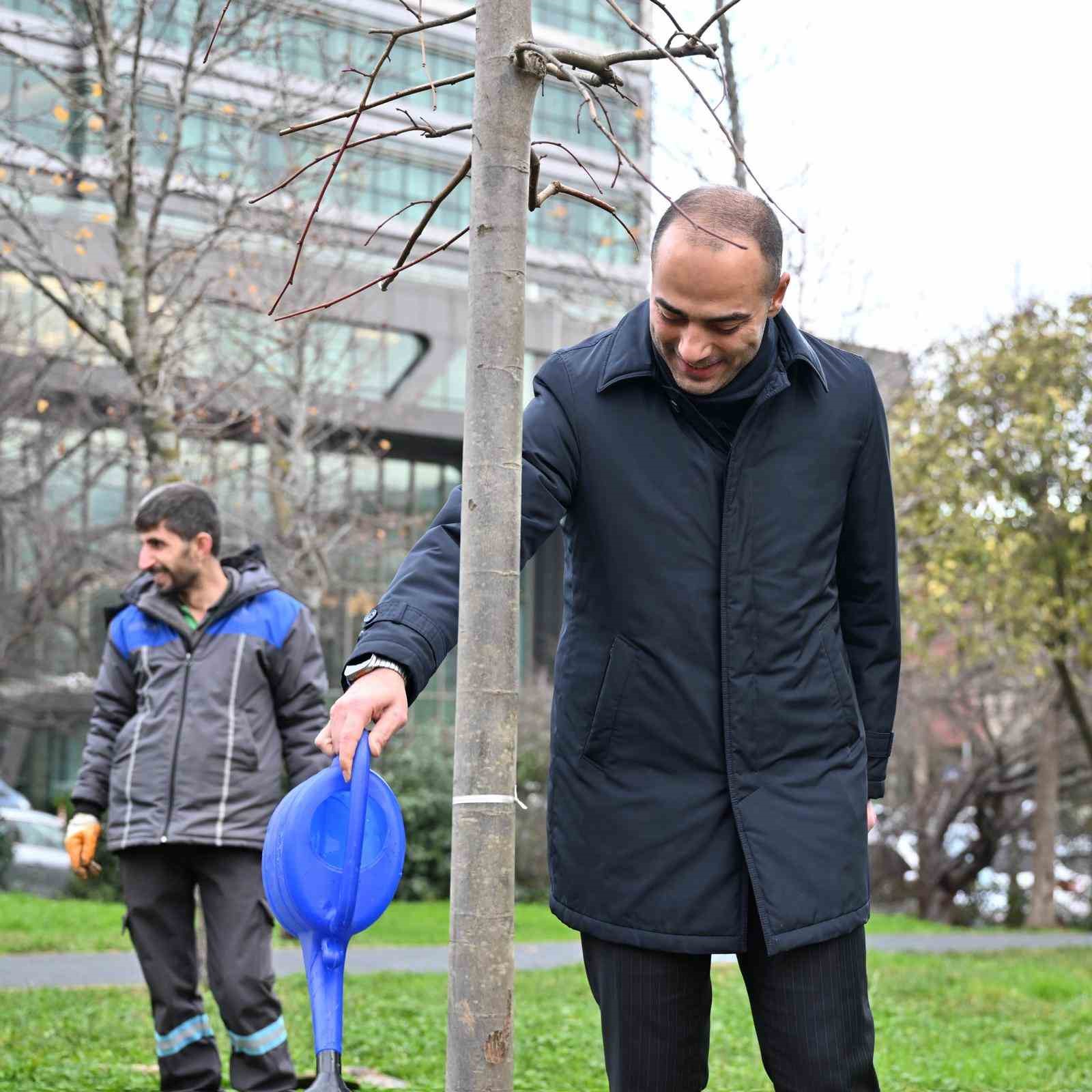 Gaziosmanpaşa’da teke böceği ile mücadele kapsamında yeşil dönüşüm
