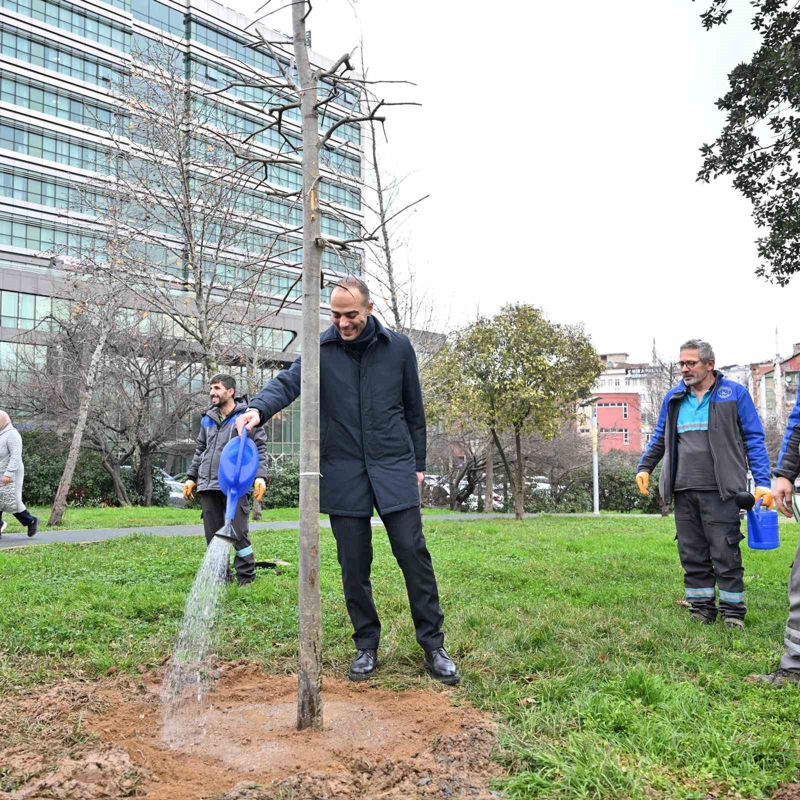 Gaziosmanpaşa’da teke böceği ile mücadele kapsamında yeşil dönüşüm
