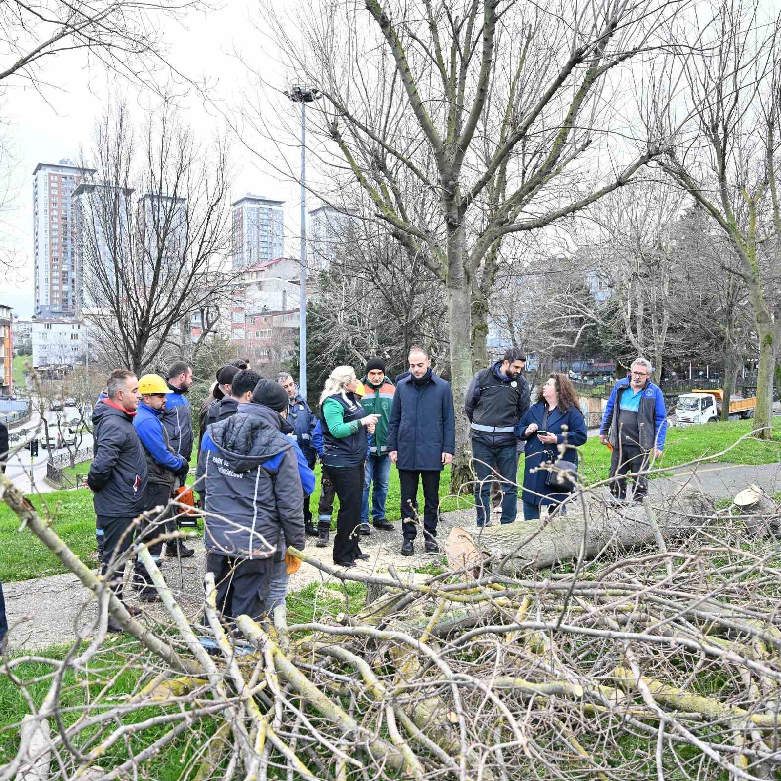 Gaziosmanpaşa’da teke böceği ile mücadele kapsamında yeşil dönüşüm
