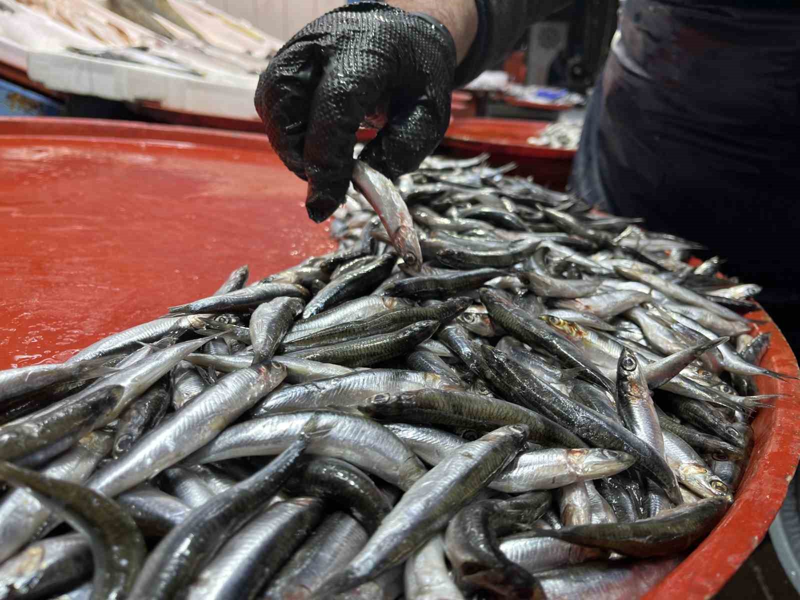 Geciken kış Konya’da balığı da vurdu
