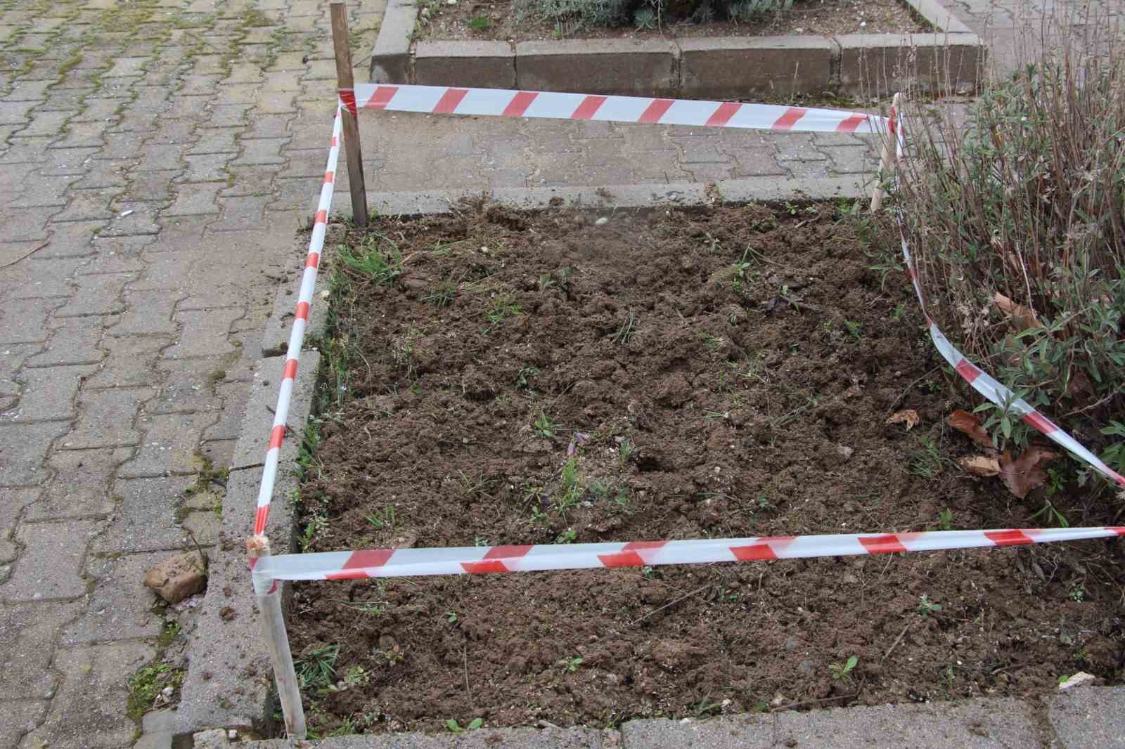 Gediz MYO kampüsünde sürpriz ’Ters Lale’
