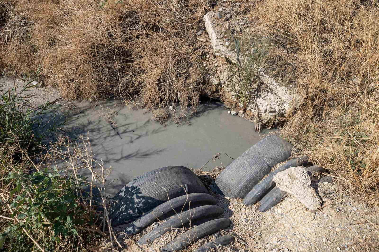 Gediz Nehri mercek altında
Gediz Nehri mercek altında