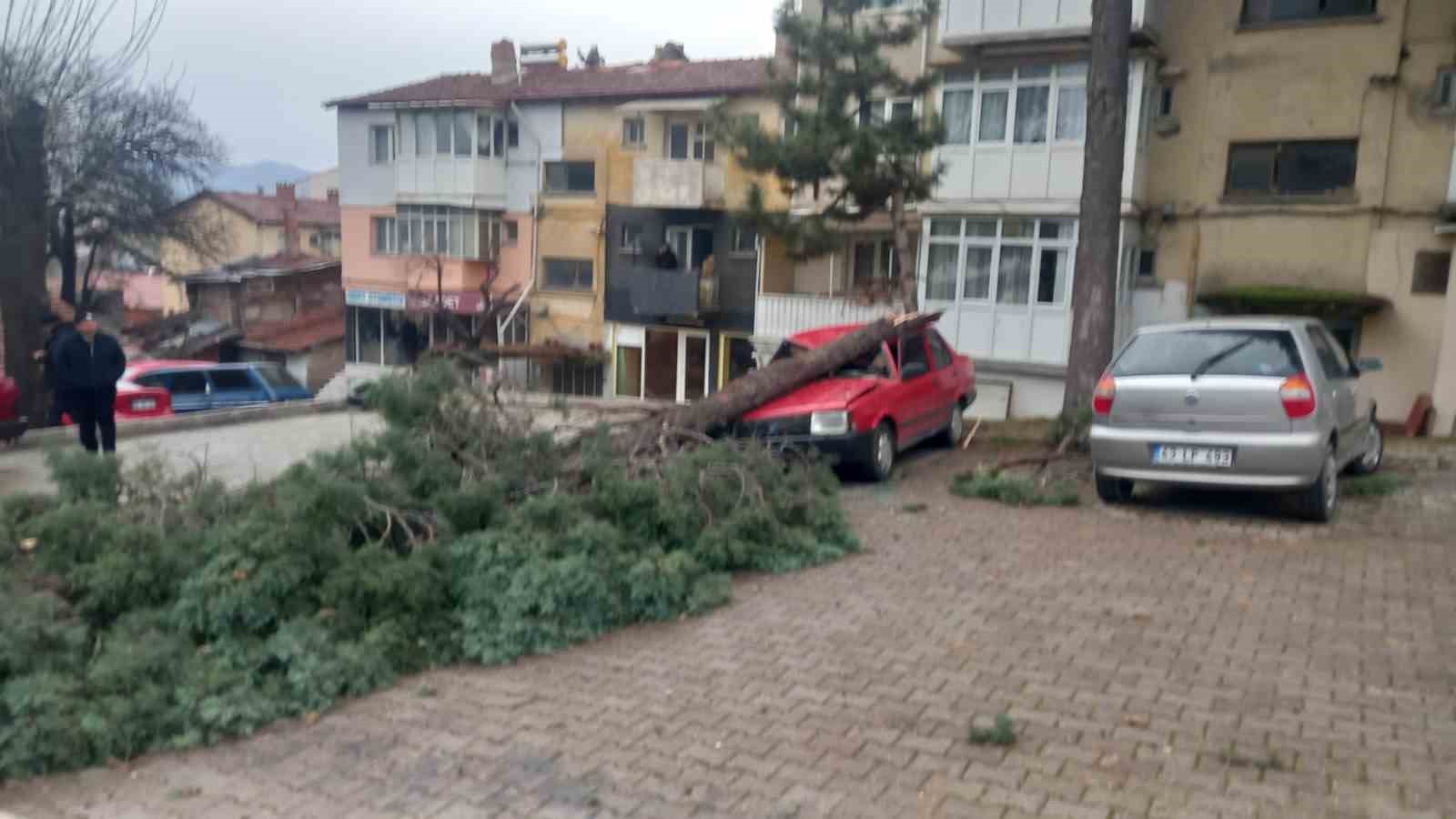 Gediz’de şiddetli rüzgar ağaçları devirdi, binalarda hasara sebep oldu
Gediz’de şiddetli rüzgar ağaçları devirdi, binalarda hasara sebep oldu