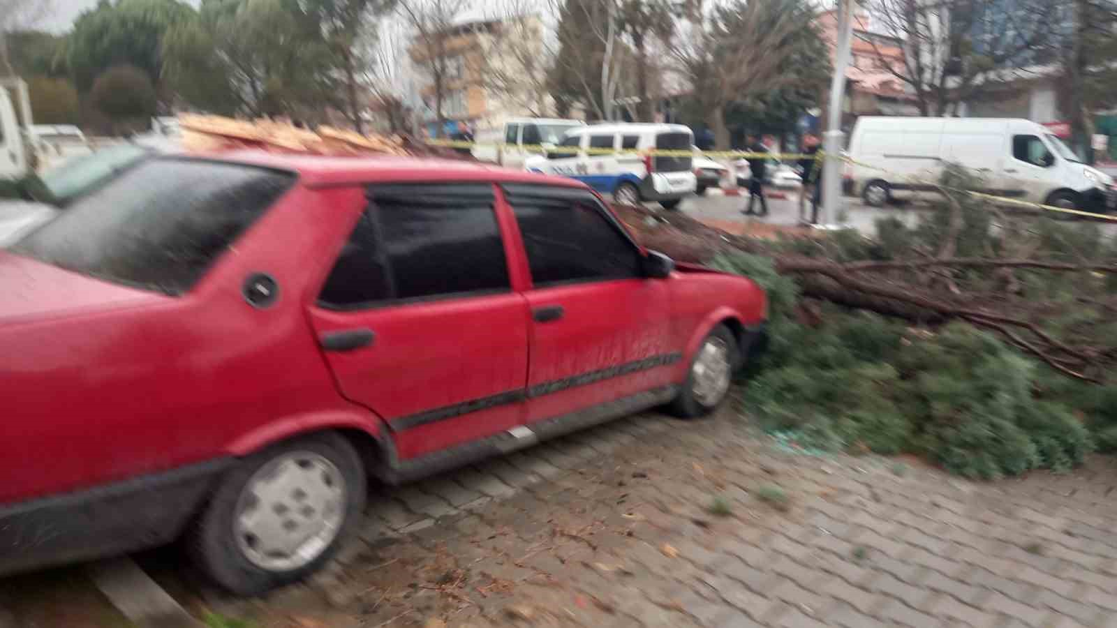 Gediz’de şiddetli rüzgar ağaçları devirdi, binalarda hasara sebep oldu
Gediz’de şiddetli rüzgar ağaçları devirdi, binalarda hasara sebep oldu