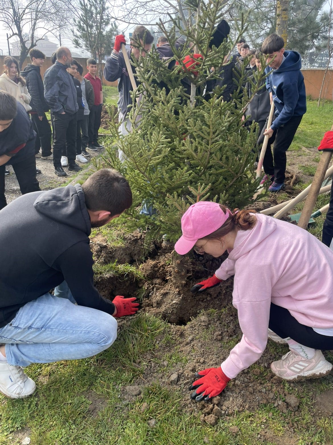Geleceğe yeşil miras
Geleceğe yeşil miras