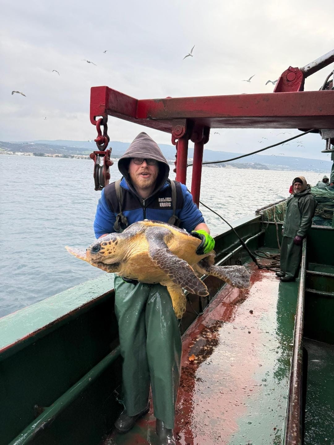 Gelibolu açıklarında ağlara takılan caretta caretta denize geri salındı
