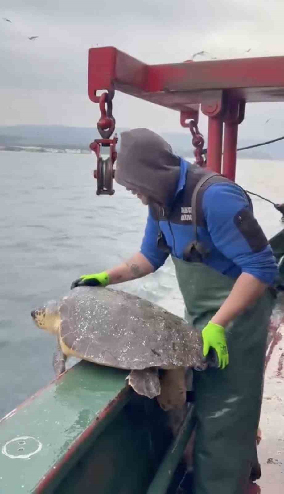 Gelibolu açıklarında ağlara takılan caretta caretta denize geri salındı
