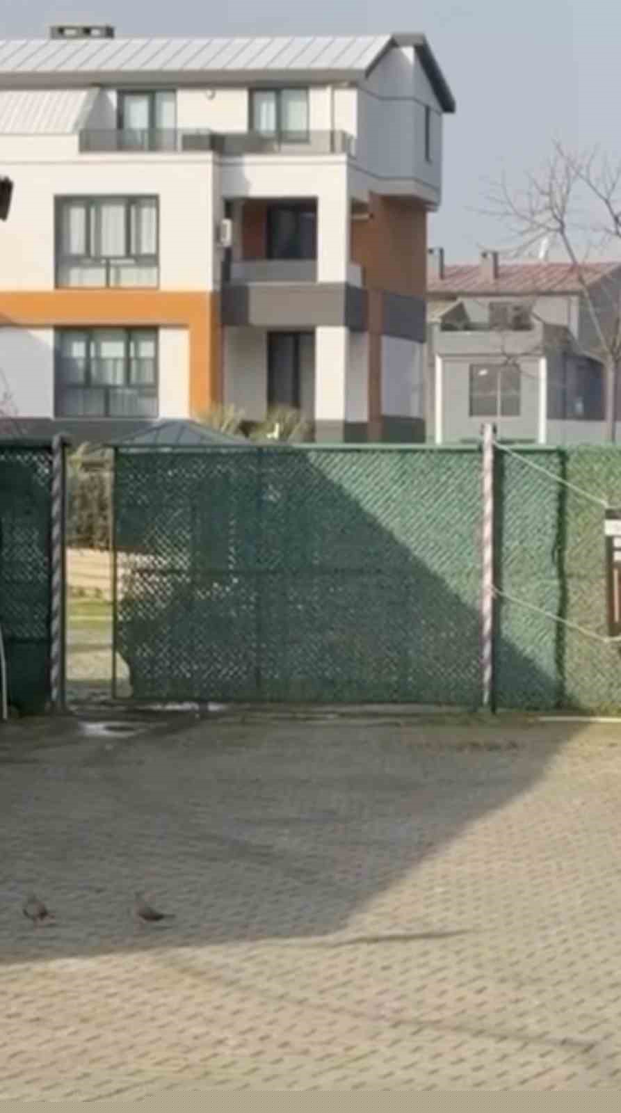 Gemlik Belediyesinin Umurbey’deki barınağını önünde toplanan hayvanseverler içeriye alınmadı
