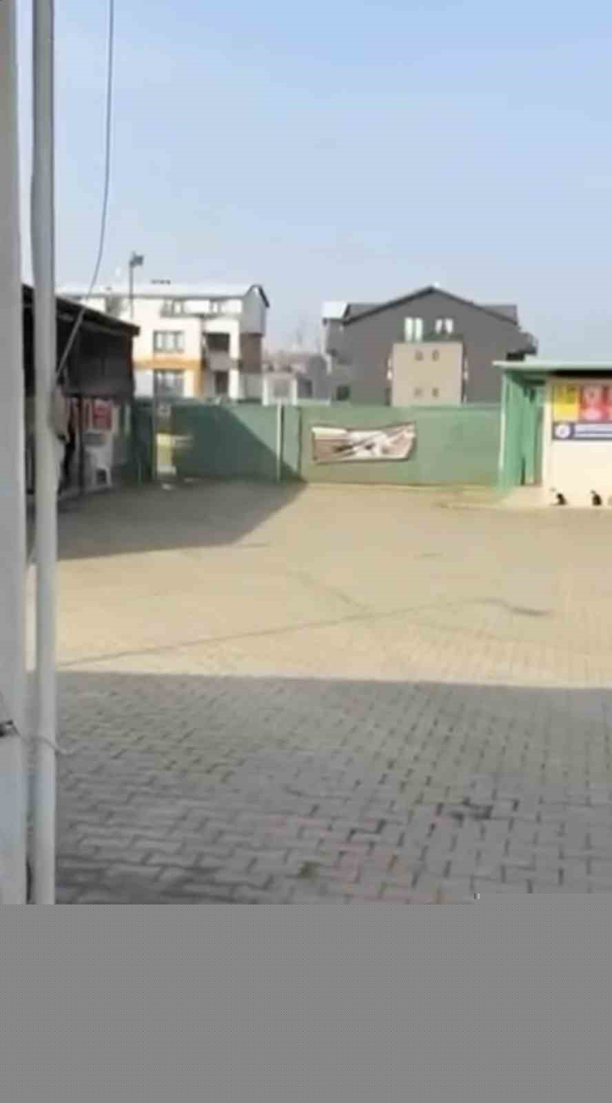 Gemlik Belediyesinin Umurbey’deki barınağını önünde toplanan hayvanseverler içeriye alınmadı
