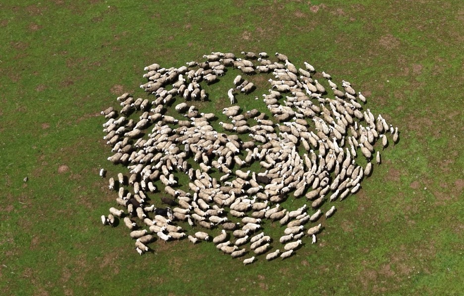 Genç besicilere büyük destek
