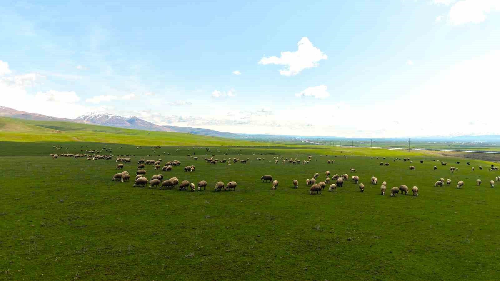 Genç besicilere büyük destek
